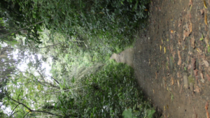 Final Pipeline | Soft Metrics