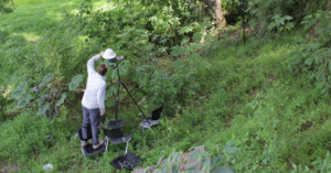 Trees Don’t Twist | Homeless in Panama