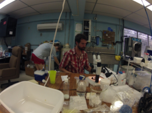 Science Starting | Rapid Development