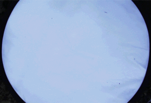 Best Battle of My Life