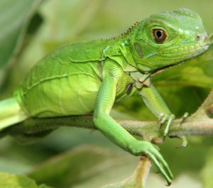 Long days, Do everything