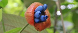 Relaxing, Reflecting, Letting things Happen