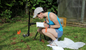 Big BCI Day: Part II – Glowing Night