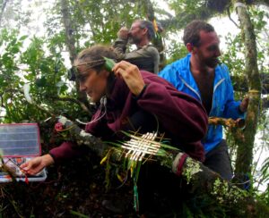 Hacking the Wild: Madagascar