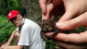 Amazing Lifeforms at the NFCCDL (Owl Camp) – Angela