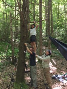 Standing on the shoulders of giants – Jeannette, Andy